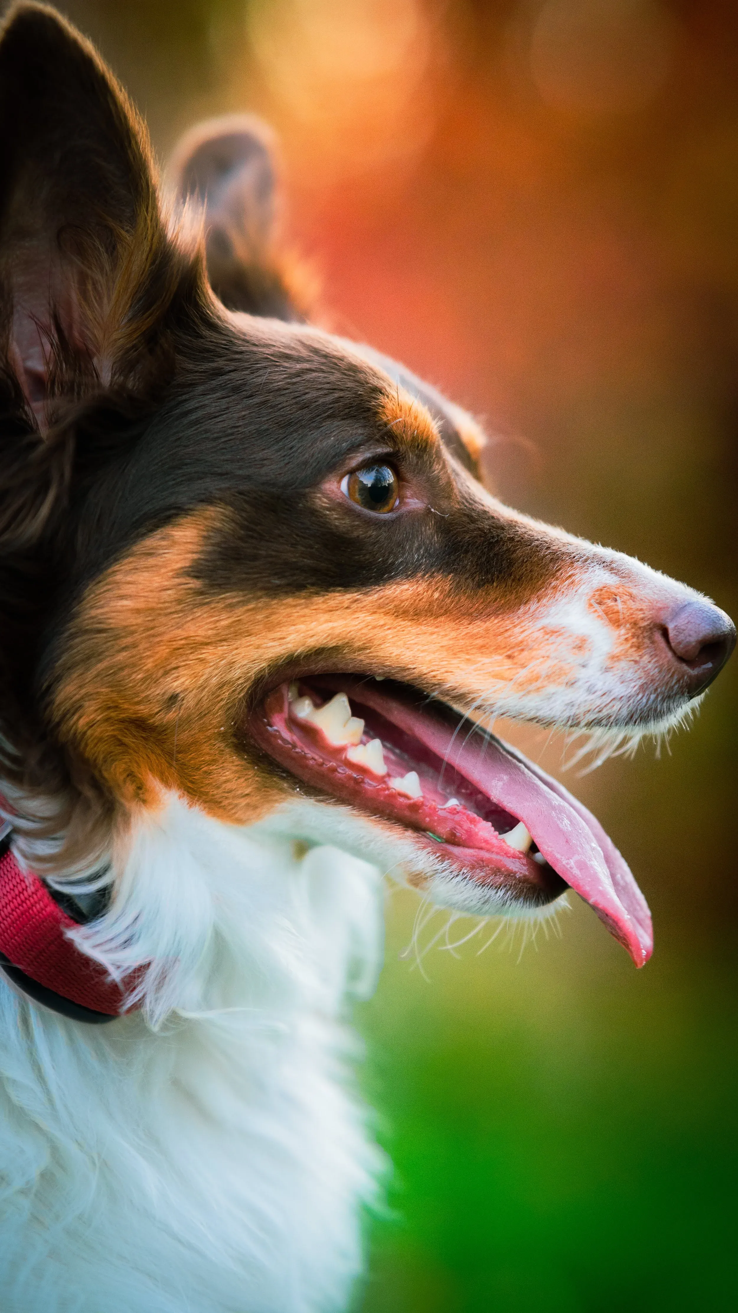 Profile close-up of Thor against warm bokeh