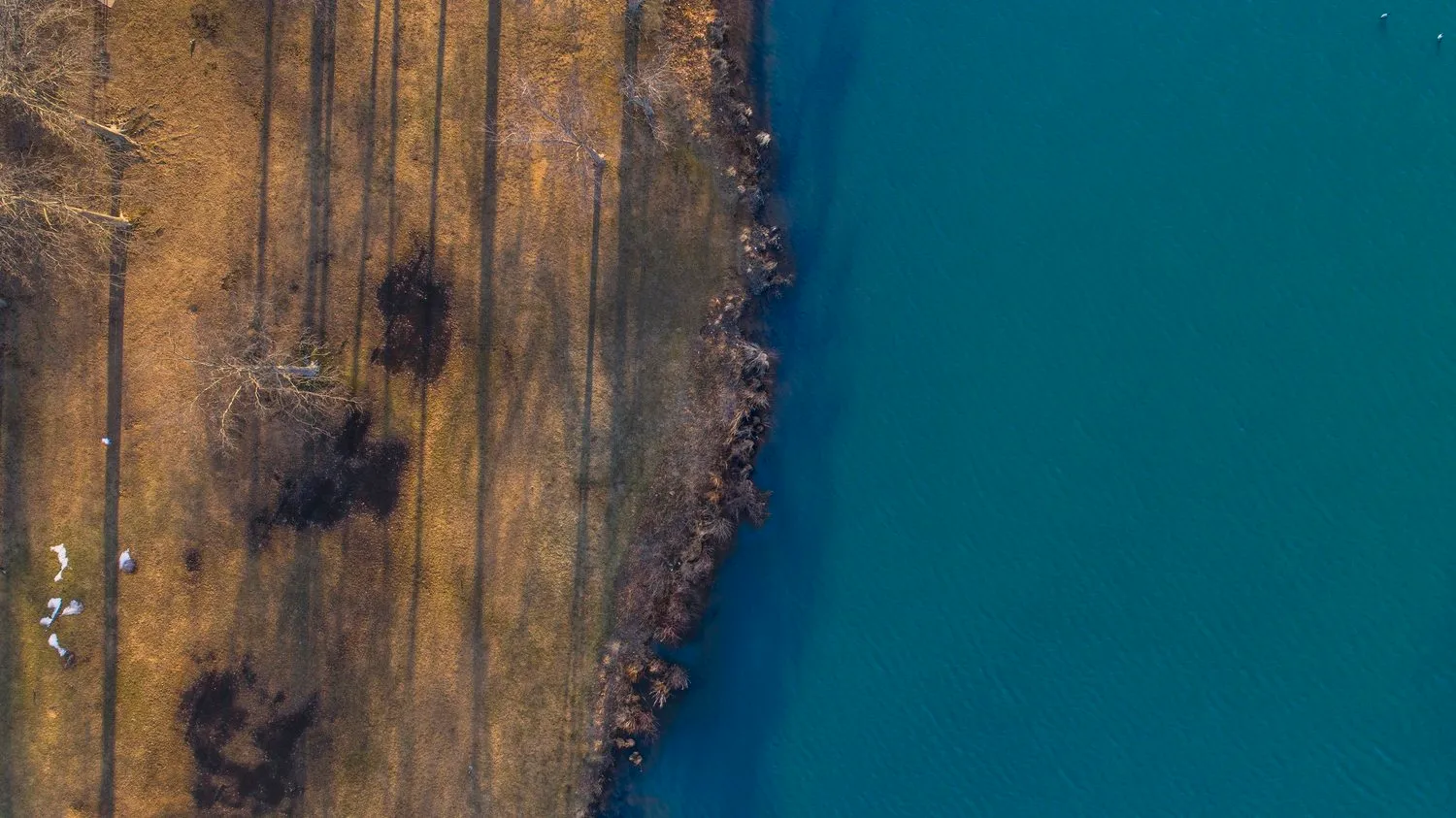 Aerial photograph where land meets water, 2017