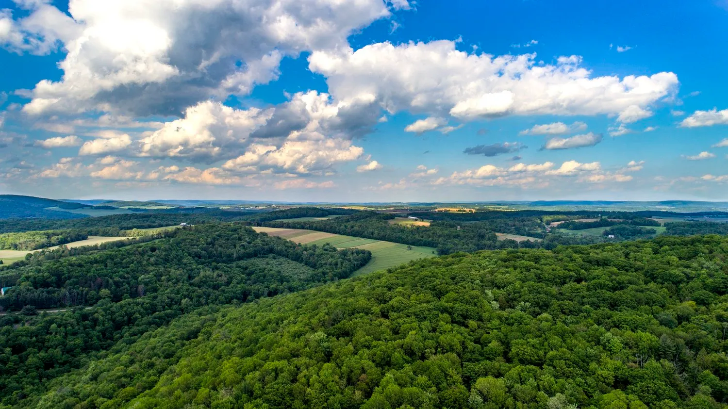 Aerial photograph of fields at Lenape Park